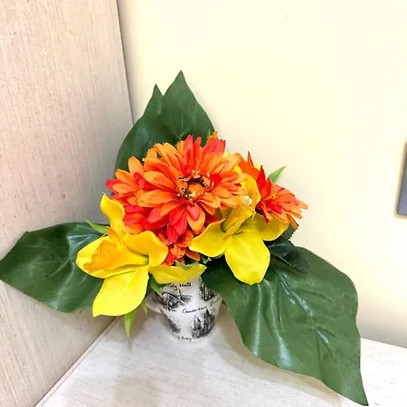 Calliope Будинок відпочинку Сорренто